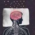 How does sleep affect the study of the brain?